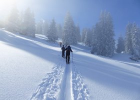 Skitour Frümseltal 2